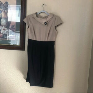Dress Barn Dress Size 8